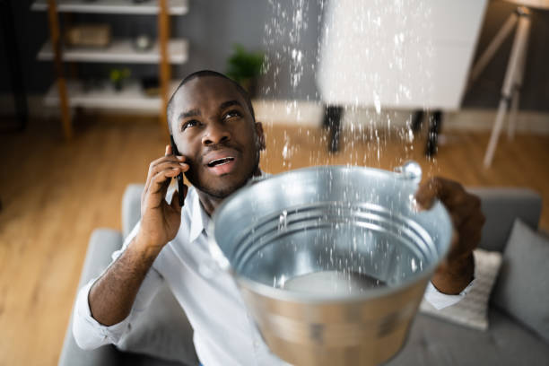 Best Water damage restoration near me  in Cedar Creek, TX