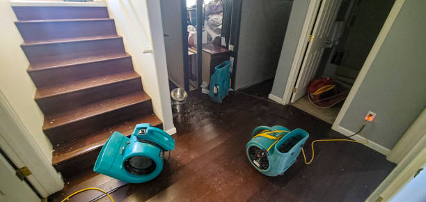 Best Water damage cleanup near me  in Cedar Creek, TX