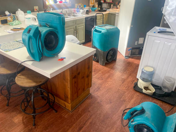 Best 24-hour water damage restoration  in Cedar Creek, TX