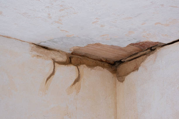 Best Water damage restoration near me  in Cedar Creek, TX