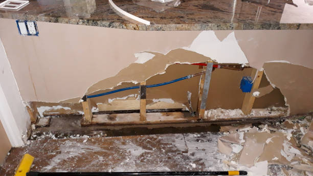 Best Water damage contractors near me  in Cedar Creek, TX