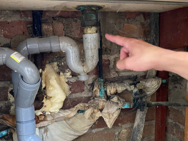 Best Water damage restoration mold remediation  in Cedar Creek, TX