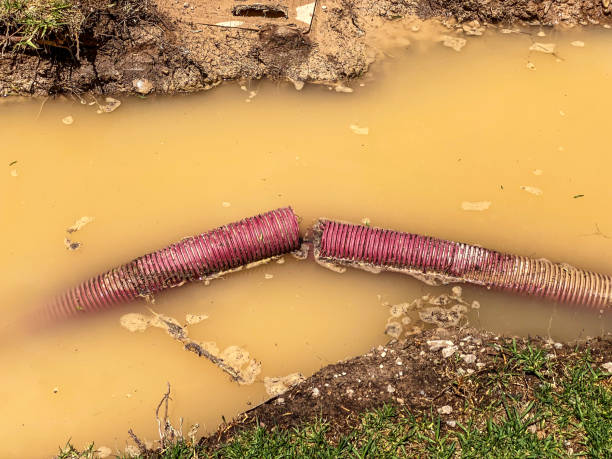 Best Basement water damage restoration  in Cedar Creek, TX