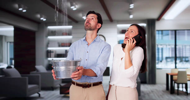 Best Water damage restoration insurance claims  in Cedar Creek, TX
